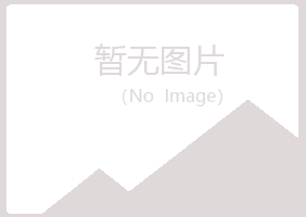 中山区涟漪邮政有限公司